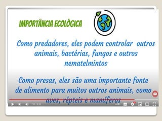 Bloco_17_e_18_Platelmintos_e_Nematelmintos.ppt