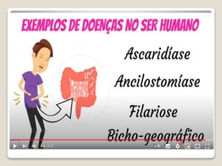 Bloco_17_e_18_Platelmintos_e_Nematelmintos.ppt