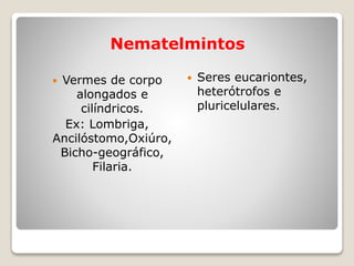 Nematelmintos
 Vermes de corpo
alongados e
cilíndricos.
Ex: Lombriga,
Ancilóstomo,Oxiúro,
Bicho-geográfico,
Filaria.
 Seres eucariontes,
heterótrofos e
pluricelulares.
 