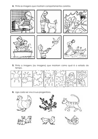 4. Pinta as imagens que mostram comportamentos corretos.
5. Pinta a imagens (ou imagens) que mostram como qual é o estado do
tempo.
6. Liga cada ser vivo à sua progenitora.
 