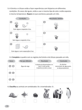 12
3.
à mesma temperatura. Repara
3.1 Completa
4. os animais em vertebrados V e invertebrados I .
Com água e exposto à luz.
Sem água e exposto à luz.
Com água e sem exposição à luz.
Vasos No que diferem Resultado Conclusão
A A
B B
C C
A B Água da rega
A planta A desenvolveu-se
bem e está verde.
A planta B está a secar.
As plantas
necessitam de água para
se desenvolverem.
A C
B C
 