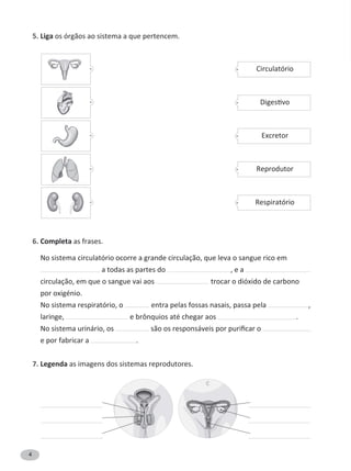 4
5. Liga os órgãos ao sistema a que pertencem.
6. Completa as frases.
No sistema circulatório ocorre a grande circulação, que leva o sangue rico em
a todas as partes do , e a
circulação, em que o sangue vai aos trocar o dióxido de carbono
por oxigénio.
No sistema respiratório, o entra pelas fossas nasais, passa pela ,
laringe, e brônquios até chegar aos .
No sistema urinário, os
e por fabricar a .
7. Legenda as imagens dos sistemas reprodutores.
Circulatório
Excretor
Reprodutor
Respiratório
 