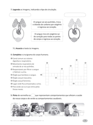 7A Grande Aventura Fichas de Avaliação Estudo do Meio 3.° ano
7
4 8
6
5
1
2
3
7. Legenda
7.1 Associa o texto às imagens.
8. Completa o crucigrama do corpo humano.
1 Canal comum ao sistema
2 Movimento respiratório de
3
e fabricar a urina.
4 Órgão que bombeia o sangue.
5 Órgão sexual masculino.
6 Órgão sexual feminino.
7
8 Para onde vai o ar que entra pelas
fossas nasais.
9. Pinta de vermelho os que representam comportamentos que afetam a saúde
do nosso corpo e de verde os comportamentos saudáveis.
o dióxido de carbono por oxigénio
e regressa ao coração.
O sangue rico em oxigénio sai
do coração para todas as partes
do corpo e regressa ao coração.
 