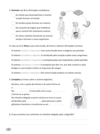 6
3. Assinala com X
As células que desempenham a mesma
função formam um tecido.
Os tecidos juntos formam um sistema.
Ao conjunto de órgãos que trabalham
Os vários sistemas funcionam ao mesmo
tempo e formam o nosso organismo.
4. Caça ao erro! Risca
O sistema urinário / respiratório
O sistema
O sistema circulatório / respiratório
O sistema reprodutor / urinário é composto por dois rins, por dois ureteres e pela
O sistema urinário / reprodutor tem como função produzir as células sexuais.
5. Completa
Na boca, com a ajuda dos dentes e da saliva forma-se
o .
No é misturado com o suco
e forma-se o quimo.
produzidos pelo , pelo pâncreas e pelas
.
6.
 