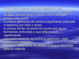 163. Alguns peixes dos rios brasileiros são perigosos. Em especial, o sobrevivente que estiver na água deverá tomar cuidado com o poraquê porque este peixe: a) possui glândulas de veneno espalhadas pela pele e espinhos por todo o corpo. b) possui ferrão na ponta da cauda que causa ferimentos profundos e que infeccionam rapidamente. c) é extremamente agressivo e carnívoro, nada sempre em cardume. d) possui como arma de defesa e ataque descarga elétrica violenta. 