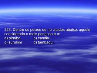 223. Dentre os peixes de rio citados abaixo, aquele considerado o mais perigoso é o: a) piraíba b) candiru c) surubim d) tambaqui. 