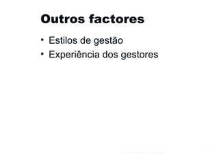 Outros factores Estilos de gestão Experiência dos gestores Gestão e Organização de Empresas 