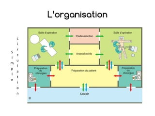 L’organisation
S
i
m
p
l
e
c
i
r
c
u
l
a
t
i
o
n
 