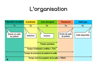 L’organisation
 