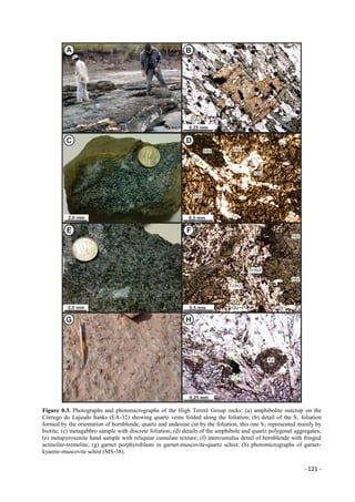 - 121 -
Figure 0.3. Photographs and photomicrographs of the High Tererê Group rocks: (a) amphibolite outcrop on the
Córrego do Lajeado banks (EA-32) showing quartz veins folded along the foliation; (b) detail of the S1 foliation
formed by the orientation of hornblende, quartz and andesine cut by the foliation, this one S2 represented mainly by
biotite; (c) metagabbro sample with discrete foliation; (d) details of the amphibole and quartz polygonal aggregates;
(e) metapyroxenite hand sample with reliquiar cumulate texture; (f) intercumulus detail of hornblende with fringed
actinolite-tremolite; (g) garnet porphyroblasts in garnet-muscovite-quartz schist; (h) photomicrographs of garnet-
kyanite-muscovite schist (MS-38).
 