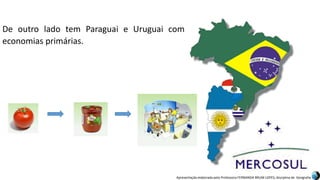 Apresentação elaborada pela Professora FERNANDA BRUM LOPES, disciplina de Geografia
De outro lado tem Paraguai e Uruguai com
economias primárias.
 
