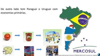 Apresentação elaborada pela Professora FERNANDA BRUM LOPES, disciplina de Geografia
De outro lado tem Paraguai e Uruguai com
economias primárias.
 