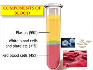 COMPONENTS OF
BLOOD
 