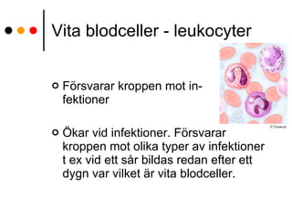 Vita blodceller - leukocyter Försvarar kroppen mot in-  fektioner Ökar vid infektioner. Försvarar kroppen mot olika typer av infektioner t ex vid ett sår bildas redan efter ett dygn var vilket är vita blodceller.  