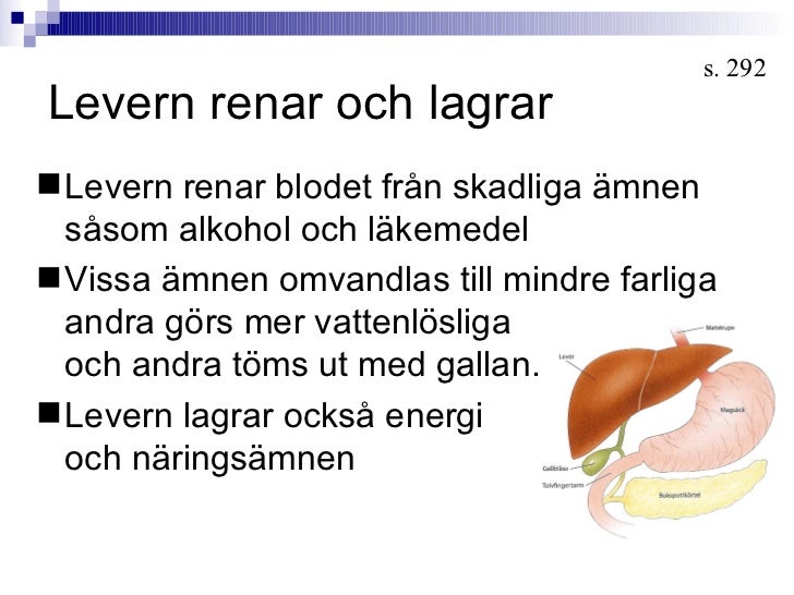 levern renar blodet levern renar blodet
