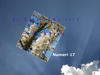 de bloeiende staf van Aäron Numeri 17 1 