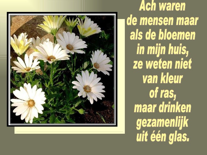 Bloem Voor Jou - Bloemen