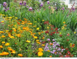 Thursday, September 13, 2012
 