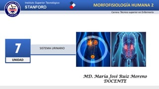 UNIDAD
7 SISTEMA URINARIO
MD. María José Ruiz Moreno
DOCENTE
Carrera: Técnico superior en Enfermería
MORFOFISIOLOGÍA HUMANA 2
 