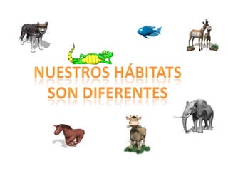 Nuestros Hábitats son diferentes
