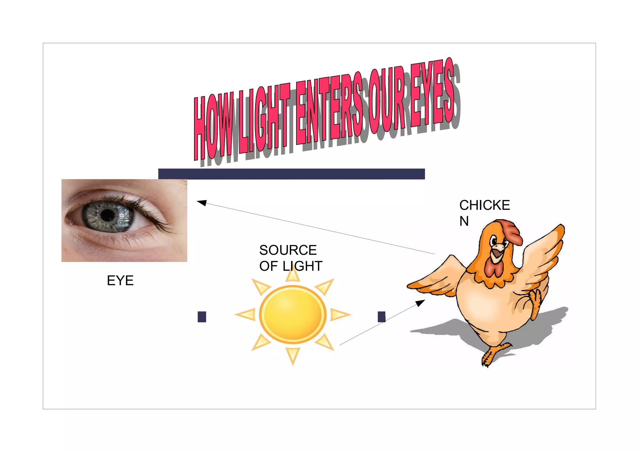 CHICKE
                 N

      SOURCE
      OF LIGHT
EYE
 