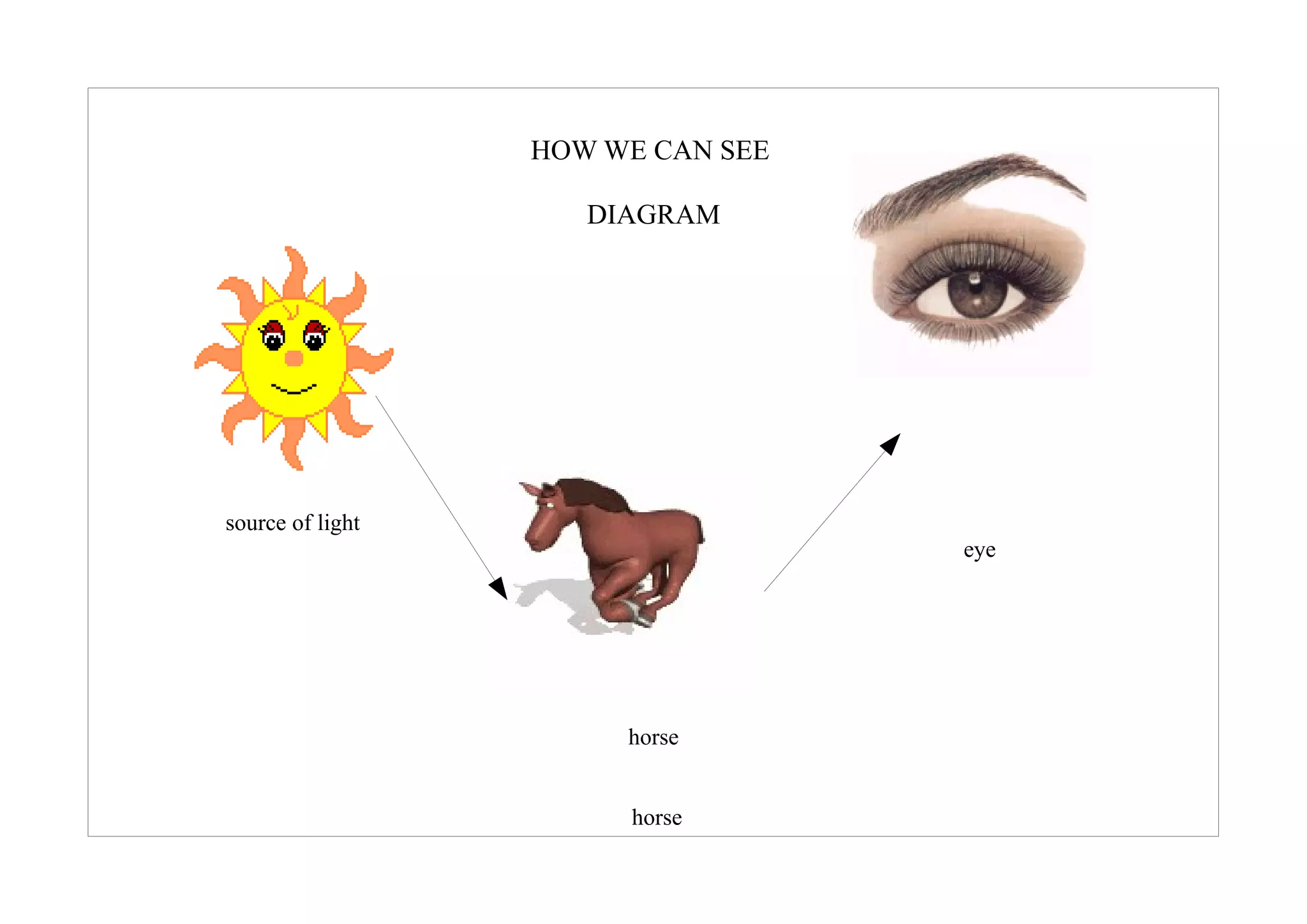 HOW WE CAN SEE

                     DIAGRAM




source of light
                                   eye




                       horse


                       horse
 