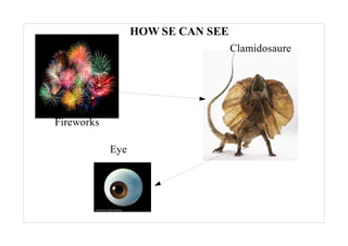 HOW SE CAN SEE
                                   Clamidosaure




Fireworks

            Eye
 