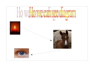 how we can see   (year  6)