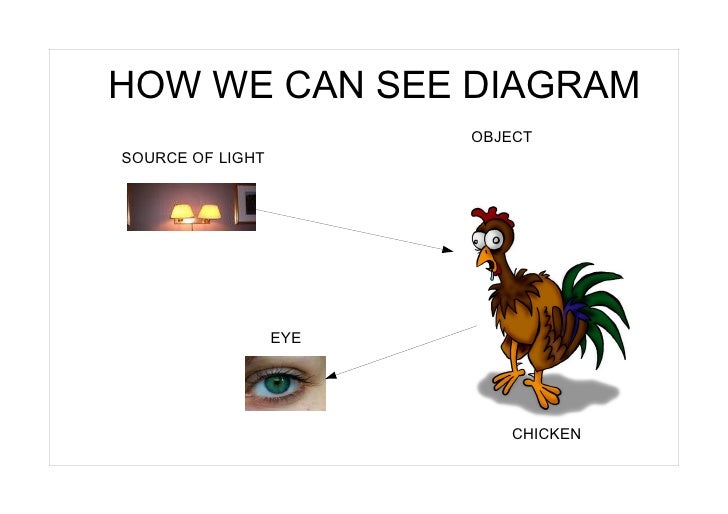 How We Can See Year 6