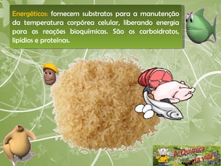 Energéticos:  fornecem substratos para a manutenção da temperatura corpórea celular, liberando energia para as reações bioquímicas. São os carboidratos, lipídios e proteínas.  