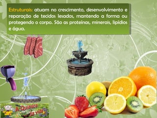 Estruturais:  atuam no crescimento, desenvolvimento e reparação de tecidos lesados, mantendo a forma ou protegendo o corpo. São as proteínas, minerais, lipídios e água.  