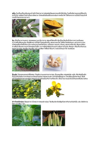 ขมิ้น กินเป็นเครื่องเคียงของนำ้าพริกให้สารอาหารฟอสฟอรัสและธาตุเหล็กที่สำาคัญ ในขมิ้นมีสารออกฤทธิ์ปองกัน   ้
มะเร็งได้ จนมีผู้นำาไปทำาเป็นยาเม็ดขาย นำ้าต้มขมิ้นมีฤทธิช่วยกระตุ้นการหลั่งนำ้าดี ใช้รกษาอาการเป็นนิ่วในถุงนำ้าดี
                                                         ์                             ั
รวมทั้งโรคกระเพาะอาหาร




ขิง เป็นทั้งอาหารและยา สรรพคุณทางยามีมากมาย สุดแต่ใช้คนที่กำาลังเป็นหวัดเย็นที่เกิดจากความเย็นของ
อากาศที่เปลียนแปลง คือรู้สึกหนาวมีไข้ตำ่าไม่ค่อยมีเหงื่อ เสมหะเหลวใส ให้ดื่มนำ้าต้มขิงร้อนๆ แล้วจะหาย ส่วน
หวัดร้อนคือหวัดที่เกิดจากความร้อนจะปวดหัวตัวร้อน เหงื่อออก คอแห้ง เจ็บคอ เสมหะเหนียวข้น สีออกเหลือง
ห้ามดื่มนำ้าขิงเพราะจะทำาให้ทรุดลงไปอีก อาการผิดปกติของระบบทางเดินหายใจเช่น คัดจมูก หรือเกี่ยวกับระบบ
ย่อยอาหารเช่น ท้องอืด ท้องเฟ้อ แน่น จุกเสียด ให้ดื่มนำ้าขิงแก่ๆ จะช่วยให้ทุเลาได้ ช่วยขับลม




ขี้เหล็ก ให้ยอดและดอกที่มีรสขม ให้พลังงานและสารอาหารสูง ทั้งแคลเซียม ฟอสฟอรัส เหล็ก ที่สำาคัญขี้เหล็ก
กินร่วมกับไขมันจากกะทิแล้วจะเกิดปรโยชน์มากต่อสารเบต้า-แคโรทีนที่มีอยู่มาก ให้เปลี่ยนเป็นวิตามินเอ ซึ่งมี
ประโยชน์ตอสายตาและสุขภาพของร่างกายช่วยป้องกันการเกิดมะเร็ง เป็นยาระบายและช่วยให้นอนหลับสบายด้วย
           ่




ข้าวโพดฝักอ่อน มีคุณค่าทางโภชนาการค่อนข้างน้อย ได้เพียงวิตามินซีสูงจึงควรกินร่วมกับผักอื่น เช่น ผัดผักรวม
มิตร แกงเลียง ฯลฯ
 