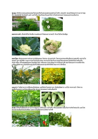 ชะอม ผักมีหนามคมแต่ชะอมชุบไข่ทอดหรือใบชะอมสดหยอดด้วยนำ้าพริก อร่อยนัก ชะอมให้คุณค่าทางอาหารสูง
ทั้ง ฟอสฟอรัส วิตามินซี เบต้า-แคโรทีน ป้องกันมะเร็งและให้กากใยช่วยระบบการย่อยและระบบขับถ่าย




ดอกกระหลำ่า เป็นผักมีวิตามินซีมากแต่ต้องทำาให้สุกอย่างรวดเร็ว จึงจะได้วิตามินซีสูง




ดอกโสน ผักคนจนเพราะส่วนมากเกิดริมคลอง ริมถนน ช่วงหน้าฝน โสนจะออกดอกสีเหลืองบานสะพรั่ง คนรวยไม่
ค่อยมี โอกาสได้ชิม จะลงจากรถไปเก็บก็อายคน คนจนเก็บได้เก็บเอายอดโสนและดอกโสนต้มจิ้มนำ้าพริกเป็น
กับข้าวพื้นๆ ที่วิเศษสุดยิ่งดอกโสนผัดนำ้ามัน กลินหอม ช่วยเจริญอาหารเป็นอย่างดี ดอกโสนนอกจากจะมีวิตามิน
                                                ่
เกลือแร่ทคล้ายๆ กับผักอื่นๆแล้วยังมีโปรตีนและธาตุเหล็กที่ปริมาณมากกว่าผักอื่นๆ
           ี่




แตงกวา ไม่มีสารอาหารที่ดีเด่นเป็นพิเศษ แต่ก็มีประโยชน์ทางยา คือขับปัสสาวะ แก้ไข้ กระหายนำ้า ให้ความ
สดชื่นใบแตงกวาแก้ท้องเสียและบิด ส่วนเถาช่วยลดความดันเลือดได้




ตำาลึง ผักริมรั้วที่มีคุณค่าทางอาหารสูงมาก มีทั้งเบต้า-แคโรทีน ทีช่วยลดอัตราเสี่ยงในการเกิดโรคมะเร็ง และโรค
                                                                 ่
หัวใจขาดเลือดให้แคลเซียม และกากใยทีช่วยระบบขับถ่ายให้ดี
                                         ่
 