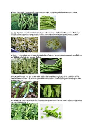 ถั่วแขก ให้วิตามินซี ให้แคลเซียมที่เสริมสร้างกระดูกและฟัน และยังมัธาตุเหล็กที่สำาคัญต่อการสร้างเลือด




ถั่วงอก มีคุณค่าทางอาหารไม่มาก ให้โปรตีนนิดหน่อย มีแคลเซียมพอควร มีฟอสฟอรัสมากหน่อย สิ่งสำาคัญของ
ถั่วงอกคือ ความอร่อยจากความกรุบกรอบเวลาเคี้ยวและทำาให้อิ่มเหมาะสำาหรับผู้ที่ต้องการอาหารแคลอรีตำ่า




ถั่วฝักยาว ให้แคลเซียม ฟอสฟอรัสและมีไฟเบอร์ หรือกากใยอาหาร ช่วยลดคอเลสเตอรอล ถั่วฝักยาวเป็นผักกิด
สดได้ดีไม่ว่าจะกินกับนำ้าพริก หรือส้มตำาถั่วฝักยาว




ถั่วพู กินได้ตั้งแตยอด ดอก ราก ใบ ฝัก เมล็ด ในบ้านเรากินฝักเป็นส่วนใหญ่ทั้งดิบและสุก แต่ในพม่า หัวถั่วพู
ใต้ดินกินได้ทั้งดิบและต้ม ถั่วพูให้โปรตีนสูงให้แคลเซียมฟอสฟอรัส และวิตามินซี เมนูจานเด็ด ยำาถั่วพูกับโปรตีน
เกษตรตำาพอแหลก




ถั่วลันเตา รูปร่างสวย น่ารัก น่ากิน ถั่วลันเตาอุดมด้วยแร่ธาตุแคลเซียมฟอสฟอรัส เหล็ก และวิตามินต่างๆ และยัง
ให้โปรตีนมากกว่าผักทั่วไป
 