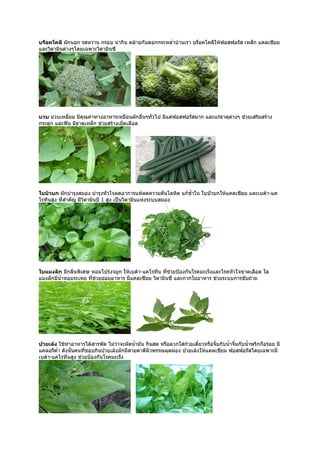 บร็อคโคลี ผักนอก รสหวาน กรอบ น่ากิน คล้ายกับดอกกระหลำ่าบ้านเรา บร็อคโคลีให้ฟอสฟอรัส เหล็ก แคลเซียม
และวิตามินต่างๆโดยเฉพาะวิตามินซี




บวบ บวบเหลี่ยม มีคุณค่าทางอาหารเหมือนผักอื่นๆทั่วไป มีแต่ฟอสฟอรัสมาก และแร่ธาตุต่างๆ ช่วยเสริมสร้าง
กระดูก และฟัน มีธาตุเหล็ก ช่วยสร้างเม็ดเลือด




ใบบัวบก ผักบำารุงสมอง บำารุงหัวใจลดอาการแพ้ลดความดันโลหิต แก้ชำ้าใน ใบบัวบกให้แคลเซียม และเบต้า-แค
โรทีนสูง ทีสำาคัญ มีวิตามินบี 1 สูง เป็นวิตามินแห่งระบบสมอง
           ่




ใบแมงลัก มีกลิ่นพิเศษ หอมโปร่งจมูก ให้เบต้า-แคโรทีน ทีช่วยป้องกันโรคมะเร็งและโรคหัวใจขาดเลือด ใล
                                                      ่
แมงลักมีนำ้าหอมระเหย ทีช่วยย่อยอาหาร มีแคลเซียม วิตามินซี และกากใยอาหาร ช่วยระบบการขับถ่าย
                       ่




ปวยเล้ง ใช้ทำาอาหารได้สารพัด ไม่ว่าจะผัดนำ้ามัน กินสด หรือลวกใส่ก๋วยเตี๋ยวหรือจิ้มกับนำ้าจิ้มกับนำ้าพริกก็อร่อย มี
แคลอรีตำ่า ดังนั้นคนทีชอบกินปวยเล้งมักมีสายตาดีผิวพรรณผุดผ่อง ปวยเล้งให้แคลเซียม ฟอสฟอรัสโดยเฉพาะมี
                      ่
เบต้า-แคโรทีนสูง ช่วยป้องกันโรคมะเร็ง
 