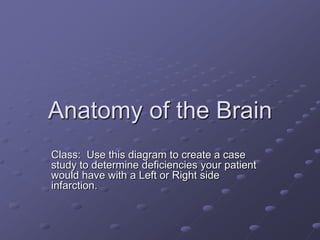 Anatomy of the Brain Class:  Use this diagram to create a case study to determine deficiencies your patient would have with a Left or Right side infarction.  