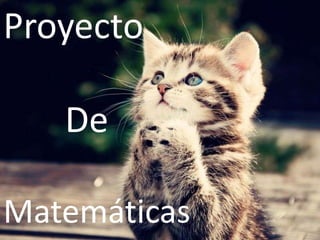 Proyecto
De
Matemáticas
 