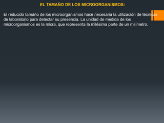 EL TAMAÑO DE LOS MICROORGANISMOS:
El reducido tamaño de los microorganismos hace necesaria la utilización de técnicas
de laboratorio para detectar su presencia. La unidad de medida de los
microorganismos es la micra, que representa la milésima parte de un milímetro.
 