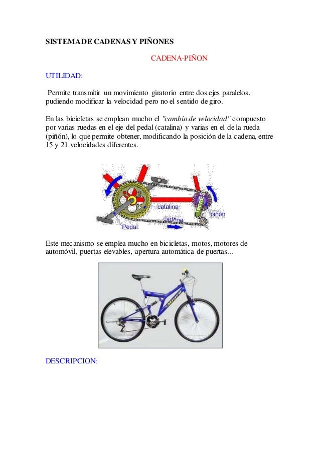 Sistema de poleas con cadena