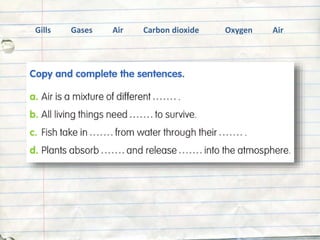 Gills Gases Air Carbon dioxide Oxygen Air
 