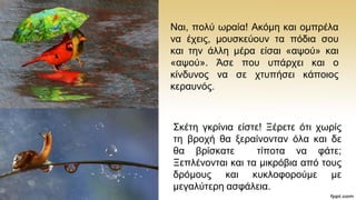 Nαη, πνιχ σξαία! Αθφκε θαη νκπξέια
λα έρεηο, κνπζθεχνπλ ηα πφδηα ζνπ
θαη ηελ άιιε κέξα είζαη «αςνχ» θαη
«αςνχ». Άζε πνπ ππάξρεη θαη ν
θίλδπλνο λα ζε ρηππήζεη θάπνηνο
θεξαπλφο.
΢θέηε γθξίληα είζηε! Ξέξεηε φηη ρσξίο
ηε βξνρή ζα μεξαίλνληαλ φια θαη δε
ζα βξίζθαηε ηίπνηα λα θάηε;
Ξεπιέλνληαη θαη ηα κηθξφβηα απφ ηνπο
δξφκνπο θαη θπθινθνξνχκε κε
κεγαιχηεξε αζθάιεηα.
 
