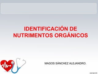 IDENTIFICACIÓN DE
NUTRIMENTOS ORGÁNICOS
MAGOS SÁNCHEZ ALEJANDRO.
 