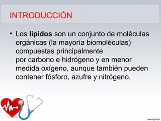 INTRODUCCIÓN
• Los lípidos son un conjunto de moléculas
orgánicas (la mayoría biomoléculas)
compuestas principalmente
por carbono e hidrógeno y en menor
medida oxígeno, aunque también pueden
contener fósforo, azufre y nitrógeno.
 