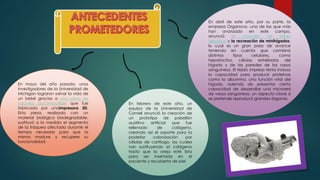 En mayo del año pasado, unos
investigadores de la Universidad de
Michigan lograron salvar la vida de
un bebé gracias a una pieza de
tráquea biocompatible que fue
fabricada por unaimpresora 3D.
Esta pieza, realizada con un
material biológico biodegradable,
sustituyó a la medida el segmento
de la tráquea afectado durante el
tiempo necesario para que la
misma madure y recupere su
funcionalidad.
En abril de este año, por su parte, la
empresa Organovo, una de las que más
han avanzado en este campo,
anunció la creación de tejido
hepático y la recreación de minihígados,
lo cual es un gran paso de avance
teniendo en cuenta que combinó
distintos tipos celulares, como
hepatocitos, células estrelladas del
hígado y de las paredes de los vasos
sanguíneos. El tejido impreso tenía incluso
la capacidad para producir proteínas
como la albúmina, una función vital del
hígado, además de presentar cierta
capacidad de desarrollar una microred
de vasos sanguíneos, un aspecto clave si
se pretende reproducir grandes órganos.
En febrero de este año, un
equipo de la Universidad de
Cornell anunció la creación de
un prototipo de pabellón
auditivo artificial que fue
rellenado de colágeno,
creando así el soporte para la
posterior colonización por
células de cartílago, las cuales
van sustituyendo el colágeno
hasta que la oreja esté lista
para ser insertada en el
paciente y recubierta de piel
 