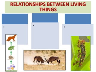 •
•
•
RELATIONSHIPS BETWEEN LIVING
THINGS
 