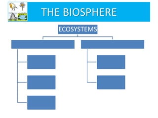 THE BIOSPHERE
ECOSYSTEMS
 