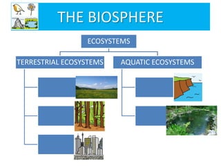 THE BIOSPHERE
ECOSYSTEMS
TERRESTRIAL ECOSYSTEMS AQUATIC ECOSYSTEMS
 