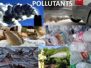POLLUTANTS
 