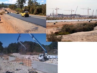 Ecosystems - Natural Science