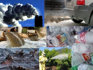 Ecosystems - Natural Science